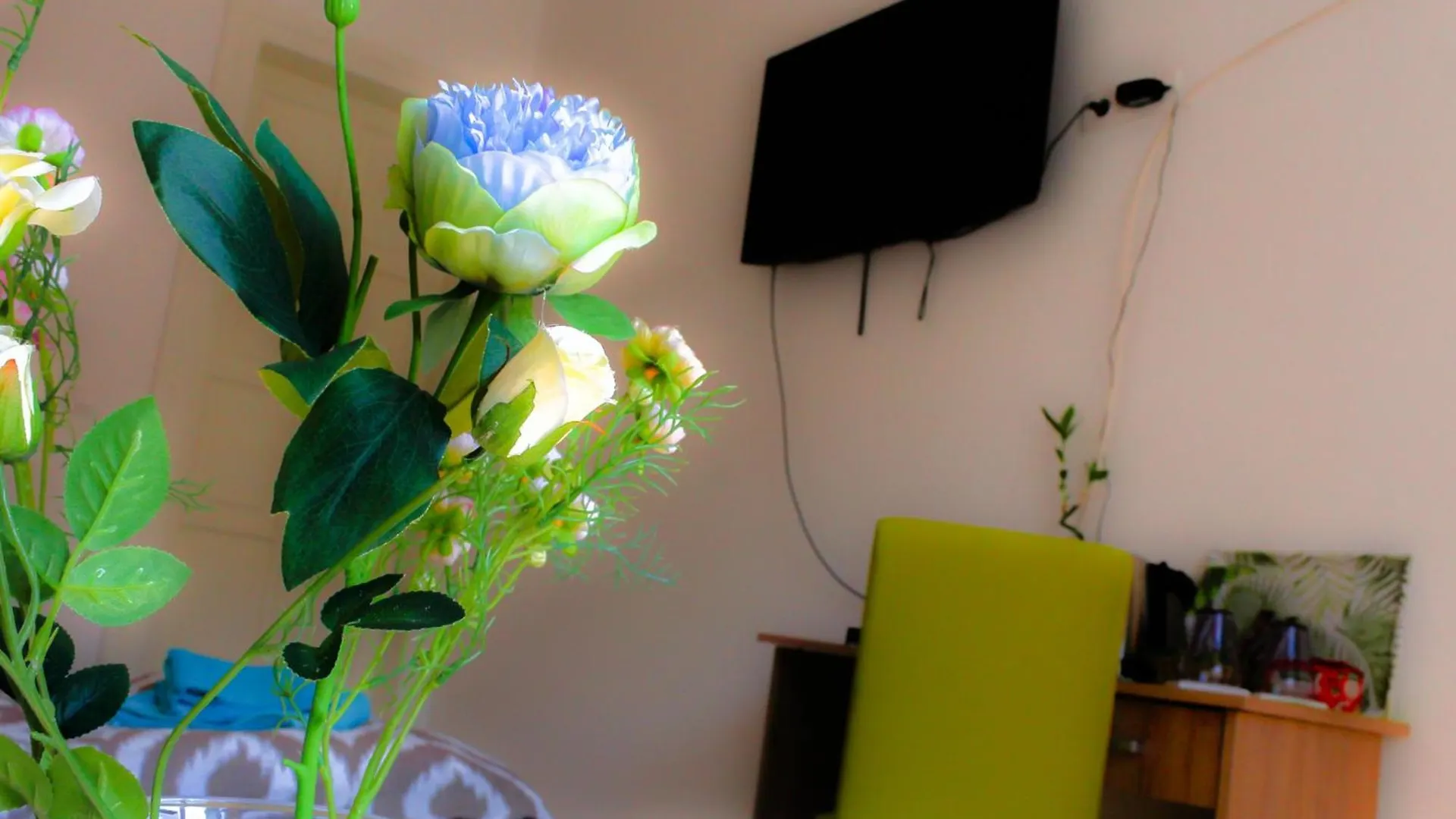 Fluminis Rooms Rijeka Croatia